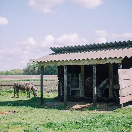 Luxe tent Glamping De Bosweide