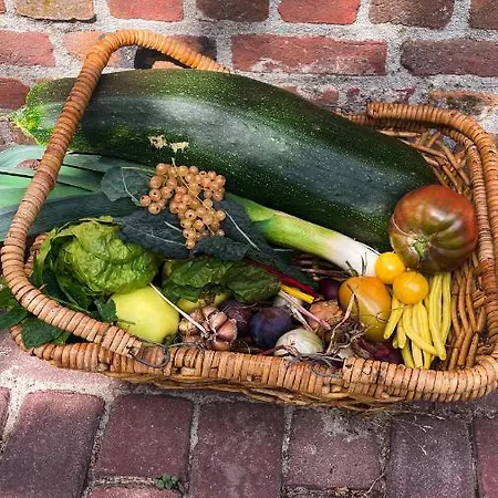 Glamping De Bosweide