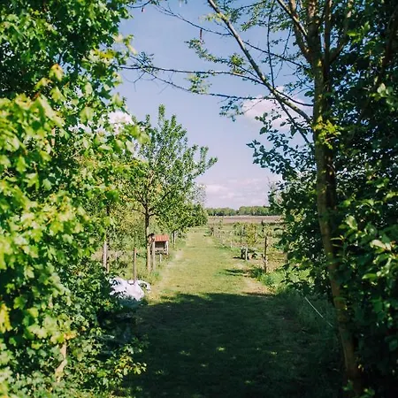 Luxe tent Glamping De Bosweide *