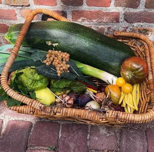 Glamping De Bosweide