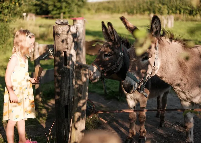 Glamping De Bosweide Alphen
