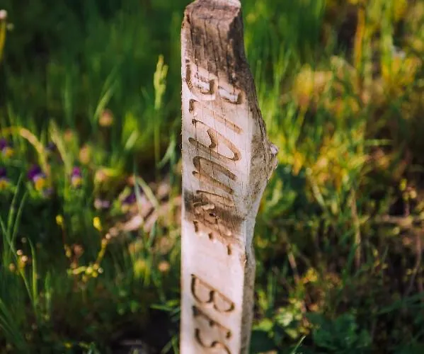 Glamping De Bosweide *