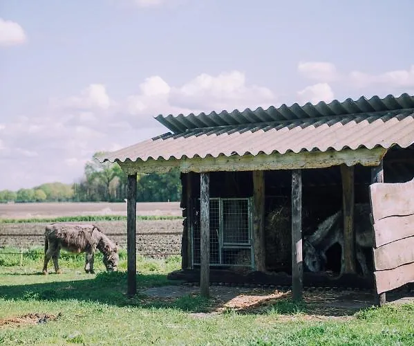 Luxussátor Glamping De Bosweide
