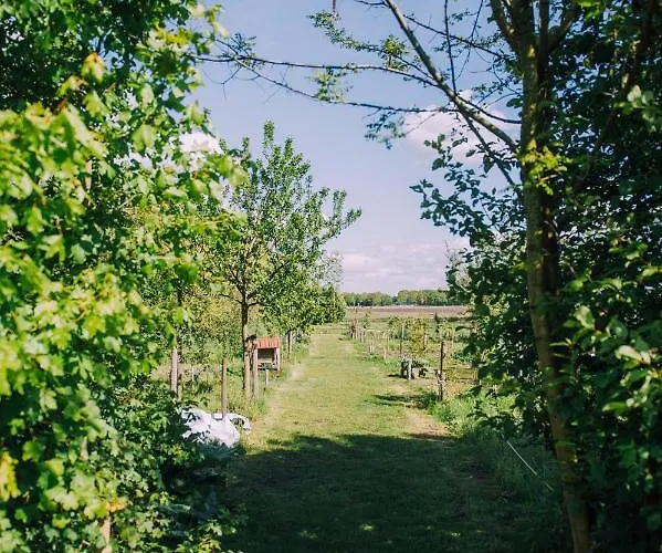 Luxussátor Glamping De Bosweide *