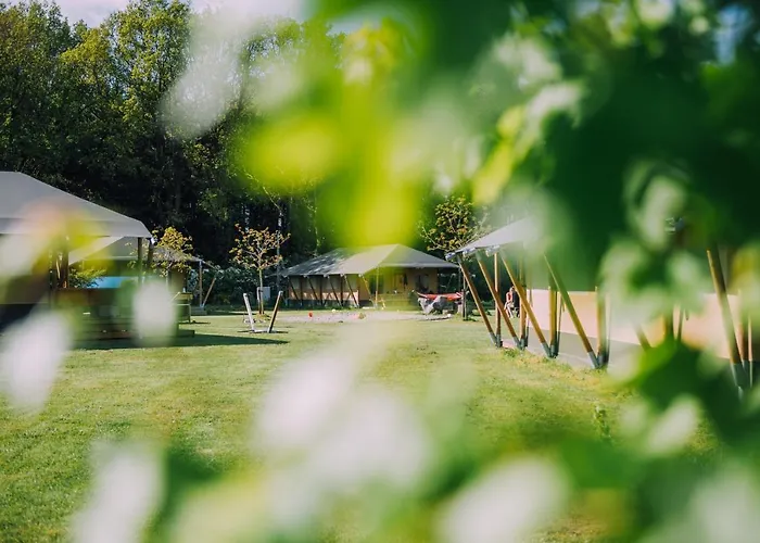 Glamping De Bosweide * Alphen